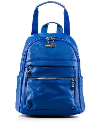 It Is What It Is Backpack, Blue Color