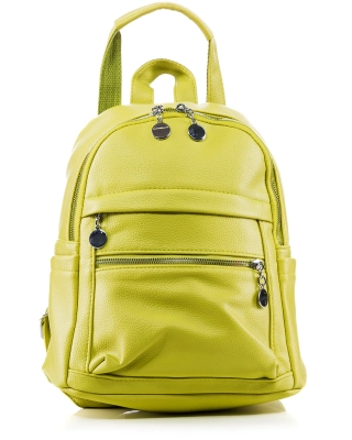 It Is What It Is Backpack, Lime Color