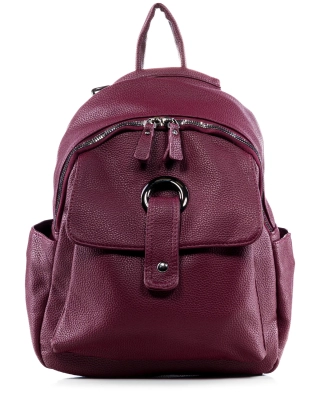 The Staple Backpack, Bordeaux Color