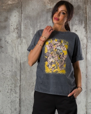 All The Characters T-Shirt, Grey Color