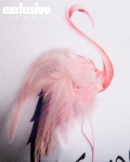 Flamingo T-Shirt With Feathers, White Color